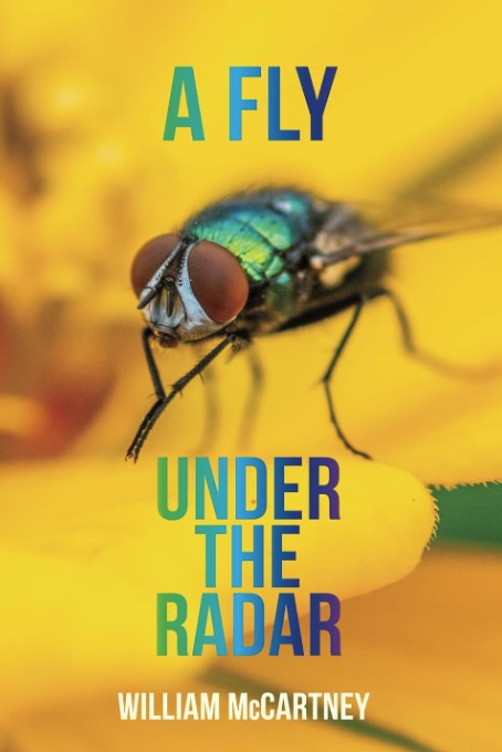 A Fly under the Radar