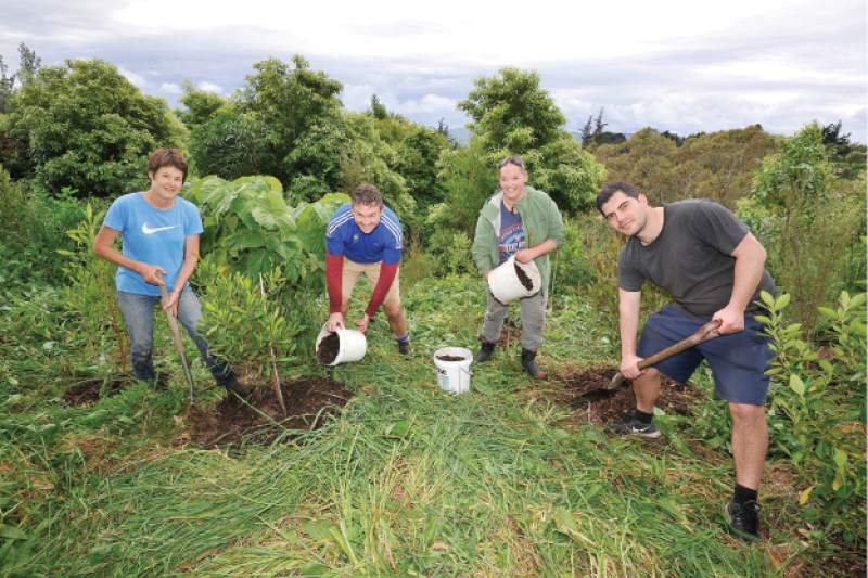 Womens Native Tree Project Trust